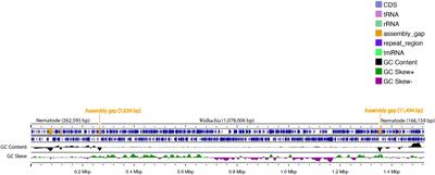 Discovery of a novel Wolbachia in Heterodera expands nematode host distribution